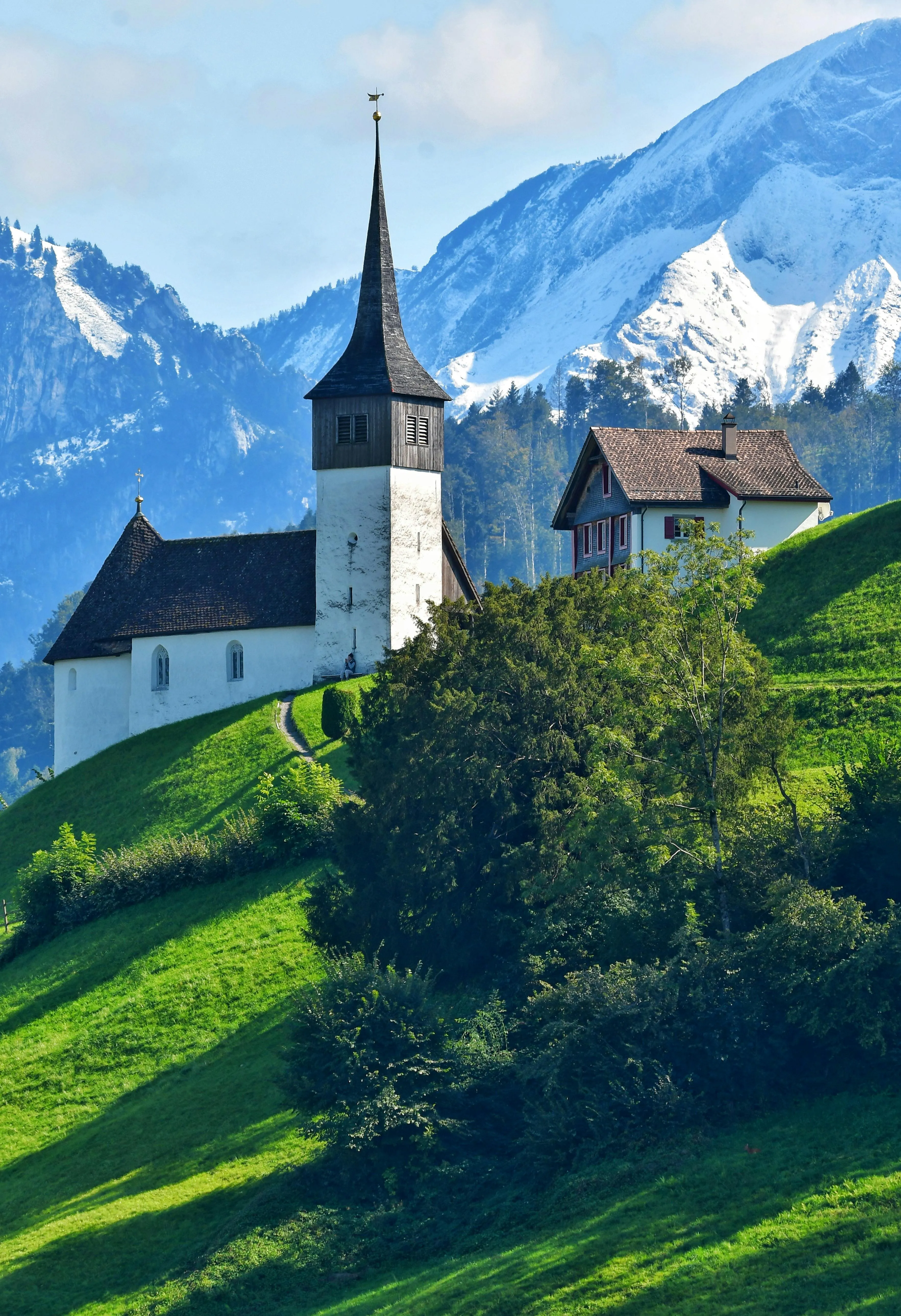 International Travel