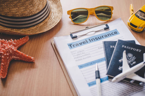 Comprehensive Travel Insurance Services – Triplogix
